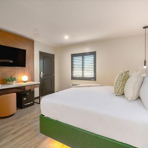 King Room Disability Access